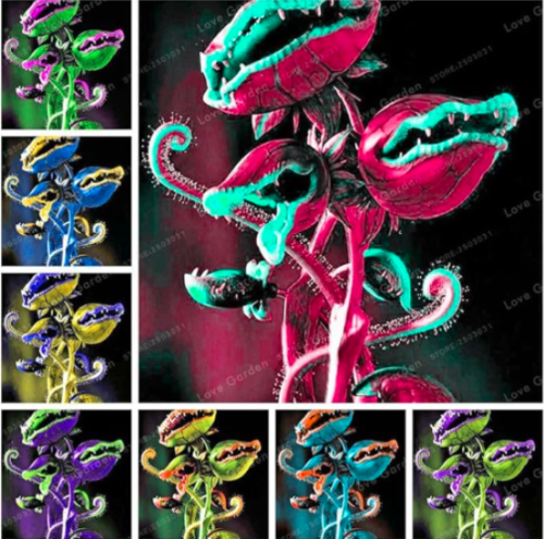 Venus Fly Trap Carnivorous Plant Seed Dionaea Muscipula Cordyceps Flycatcher (Color: Mix)