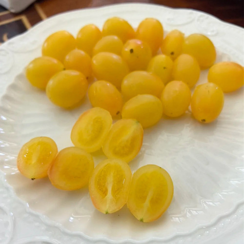 Eden No.1 Cherry Tomato Seeds