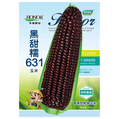 Black Sweet-waxy Maize Seeds