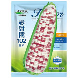 Color Sweet-waxy Corn No.102 Seeds