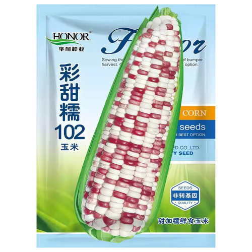 Color Sweet-waxy Corn No.102 Seeds