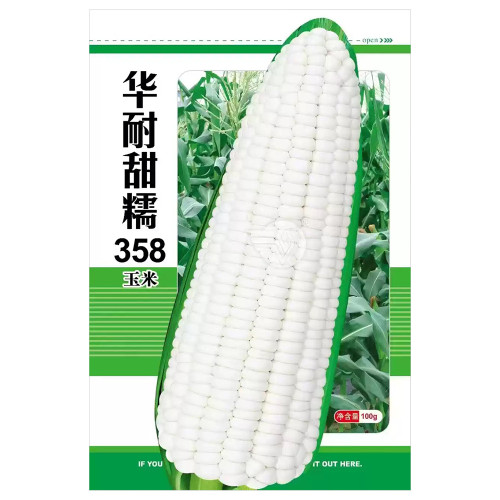 White Sweet-waxy No.358 Corn Seeds