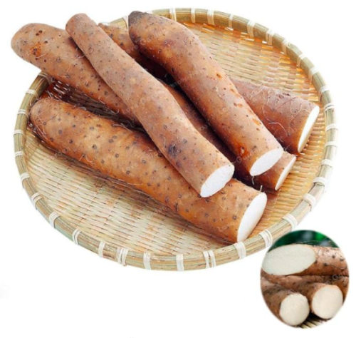 Chinese Yam Plant Seeds