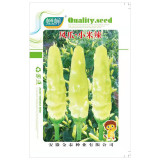 Small Hot Pepper Seeds