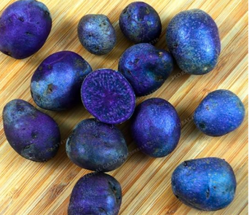 Purple Potato Seeds bonsi Rare China High-Nutrition Purple Potatoes