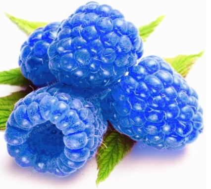 Raspberry Seed Organic Heirloom Fruit
