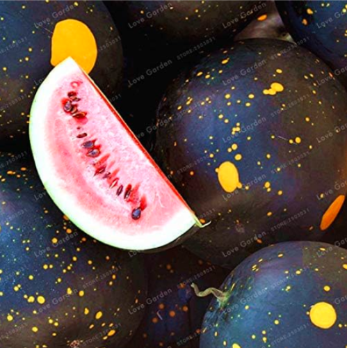 Heirloom Watermelon Rare Organic Fruit Seeds