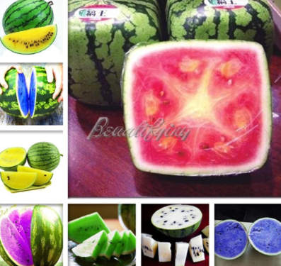Organic Fruit Seed Watermelons Plant Chinese Fruit