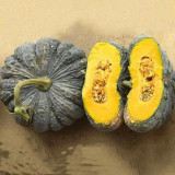 Honey Black No.2 Pumpkin Seeds