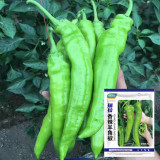 Ruila Spicy Goat's Horn Pepper Seeds