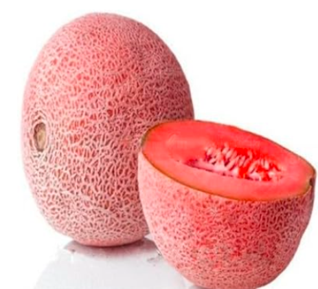 Cantaloupe Seed Rare Species red Cantaloupe Super Sweet Melon (Color: 11)