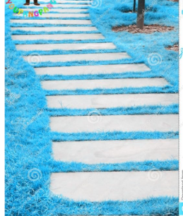 Lawn Grass Seed (zoysia Tenuifolia) Blue Lawn Plants