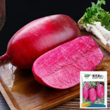 Purple Pineapple-shaped Radish Seeds