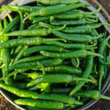 Zhangshugang Chili Pepper Seeds