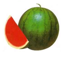Red Seedless Watermelon Vegetable Seed