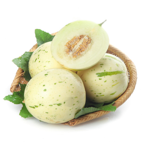 Meteor Silver Jade Melon Seeds