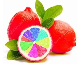 Edible Fruit Rainbow Lemon Seed Plant Exotic Colorful Citrus Limon Tree