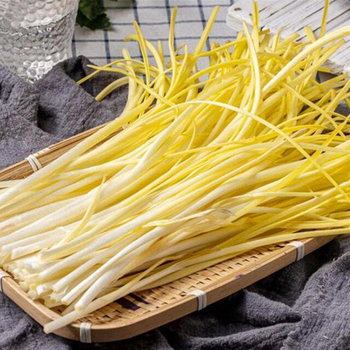Huangxiangjiuwang Yellow Chive Seeds