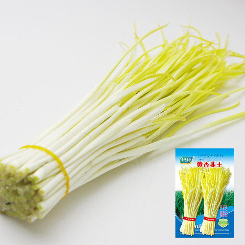Huangxiangjiuwang Yellow Chive Seeds