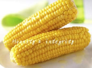 Sweet Glutinous Corn Seed (Color: 10)