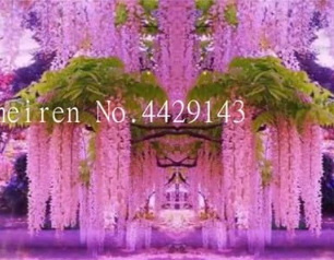 Wisteria Seeds (Color: 21)