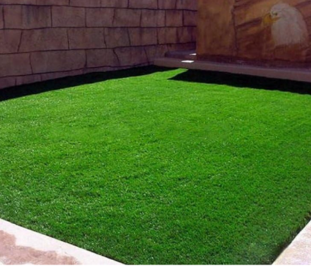 Korean Lawn Grass (Zoysia Tenuifolia) Evergreen Lawn Seeds