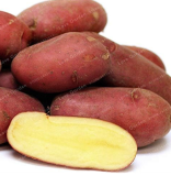 Potato Seed Organic Vegetables (Color: 2)