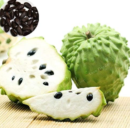 Soursop Fruit (Graviola Annona Muricata) Sweetsop Bonsa Fruit Seeds