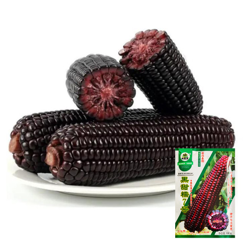 Black Sweet Waxy Corn No.7 Seeds