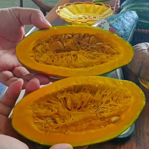 Sweet Lucky Star Pumpkin Seeds