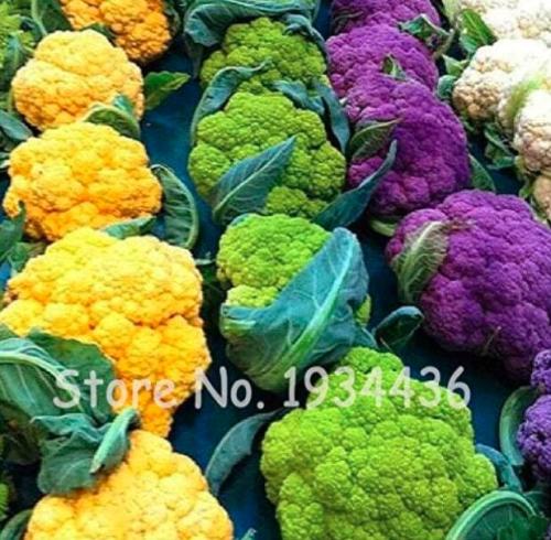 Garden Broccoli Cauliflower Seed Snow Healthy Non-GMO Green Nutrition Vegetable (Color: Mixed)