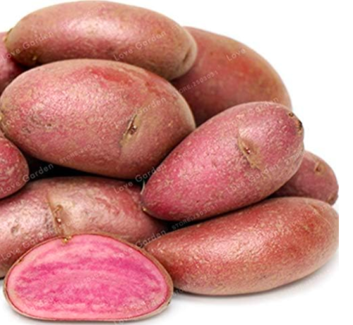 Potato Seed Organic Seed Vegetables Fruit Sweet Healthy Kitchen Cooking Food Garden Plant NO GMO - (Color: 1)