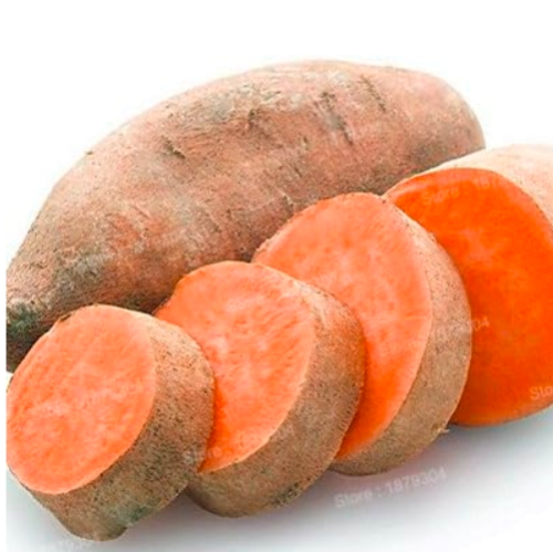 Sweet Potato Vegetables Seeds Fresh Food Fruit Garden Supplies Seed