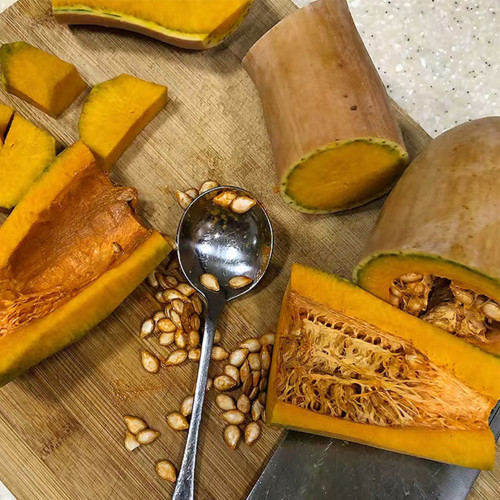 Golden Hook Pumpkin Seeds
