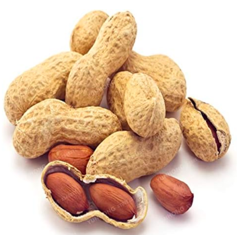 Arachis Hypogaea Seed Chinese Peanut Plant Seed Organic Heirloom - (Color: MIX)