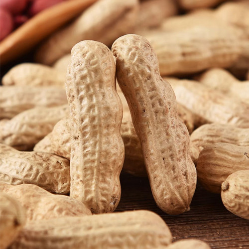 Four-grain Red Peanut Seeds