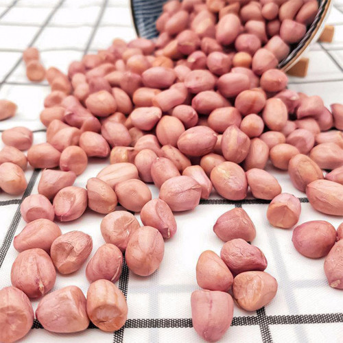 Lushou Peanut Seeds
