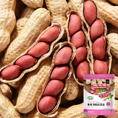 Four-grain Red Peanut Seeds
