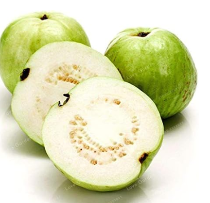 Guava Seed Tropical Fruits Plant Non Transgenic Plant (Color: 1)