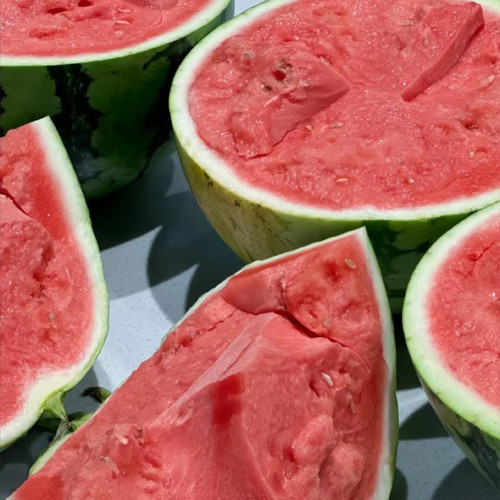 Rock Sugar Kirin No.1 Watermelon Seeds, Qilin No.1 Watermelon Seeds, Pink Flesh, High-Quality, Early-Harvest Watermelon 