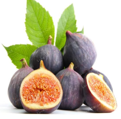 Rare Tropical Fig Seed Mini Fig Tree (Color: 1)