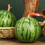 Yellow Watermelon Seeds, Sugar Globe Petite Watermelon Seeds, 12-13°Brix, Yellow Flesh, Thin Rind, Early Maturing