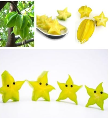 Imported Carambola Seeds Health Fruit Tree Shrub Fruit (Color: Mixed)