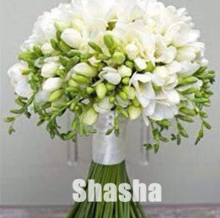 Freesia Flower Seeds (Color: 18)