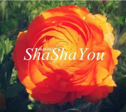 Rare Ranunculus Asiaticus Seed (Color: 22)