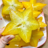 Starfruit Seeds (Averrhoa carambola L.) – Tropical Evergreen Tree with Unique Five-Pointed Fruits – Grow Your Own Exotic Carambola