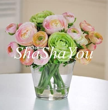 Rare Ranunculus Asiaticus Seed DIY Plant (Color: 5)