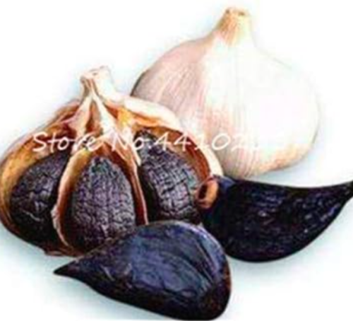 Black Garlic Seed Pure Natural Organic Healthy Pungent Spice Vegetable