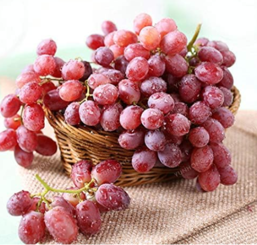 Rare Species Grape Seed Giant Red Grapes Home Garden Potted Plant Fruit Tree