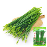 All-Season Garlic Chive Seeds, Garlic Chive Stalk Seeds, Vigorous Habit, Strong Lodging Resistance, Home Garden